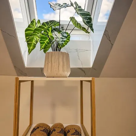 Apartment Iza56